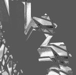 SKHIZO_BONE - Image 2